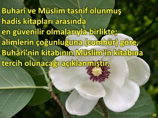 Buharî ve Müslim tasnif olunmuş
hadis kitapları arasında
en güvenilir olmalarıyla birlikte;
alimlerin çoğunluğuna (cumhür) göre,
Buhârî'nin kitabının Müslim'in kitabına
tercih olunacağı açıklanmıştır.
40
 