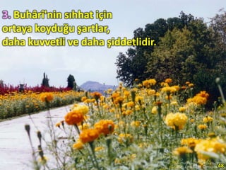 3. Buhârî'nin sıhhat için
ortaya koyduğu şartlar,
daha kuvvetli ve daha şiddetlidir.
48
 