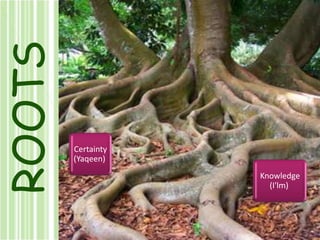 ROOTSKnowledge (I'lm) Certainty (Yaqeen) 
