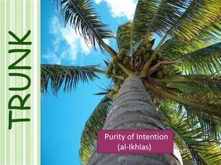TRUNK Purity of Intention (al-Ikhlas) 