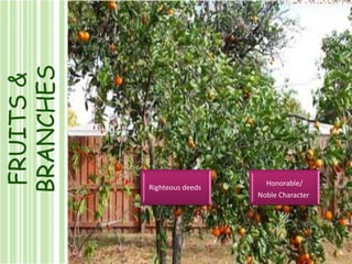 FRUITS & BRANCHESRighteous deeds Honorable/Noble Character 