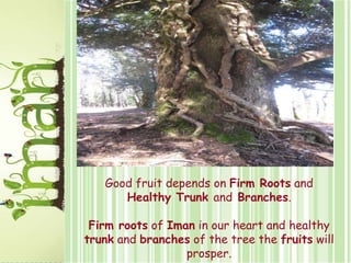 Good fruit depends on Firm Roots and Healthy Trunk and Branches.Firm roots of Iman in our heart and healthy trunk and branches of the tree the fruits will prosper.