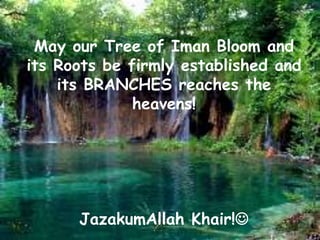 May our Tree of Iman Bloom and its Roots be firmly established and its BRANCHES reaches the heavens!JazakumAllahKhair!