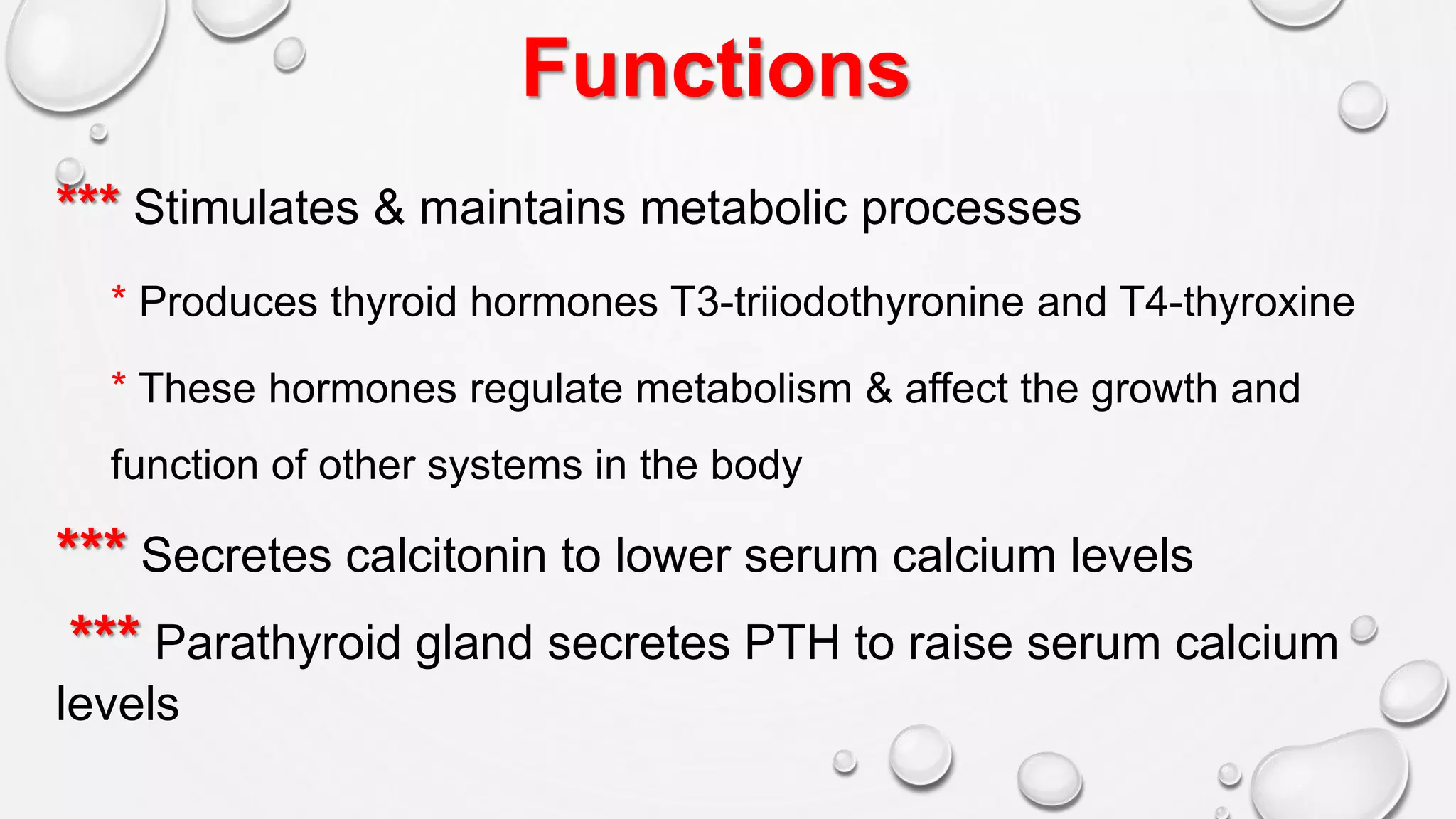 Functions
*** Stimulates & maintains metabolic processes
* Produces thyroid hormones T3-triiodothyronine and T4-thyroxine
* These hormones regulate metabolism & affect the growth and
function of other systems in the body
*** Secretes calcitonin to lower serum calcium levels
*** Parathyroid gland secretes PTH to raise serum calcium
levels
 