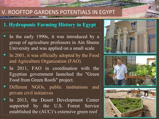 THE RISE OF ROOFTOP GARDENS IN INFORMALLY DEVELOPED AREAS IN EGYPT ...