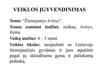 VEIKLOS ĮGYVENDINIMAS
Tema: “Žiemojantys žvėrys”
Temos esminiai žodžiai: miškas, žvėrys,
žiema
Vaikų amžius: 4 – 5 metai
Veiklos tikslas: susipažinti su Lietuvoje
žiemojančiais gyvūnais ir juos atpažinti
pagal jų skleidžiama garsą ir paliekamą
pėdsaką.
 