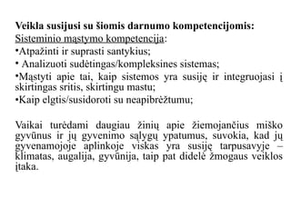 Veikla susijusi su šiomis darnumo kompetencijomis:
Sisteminio mąstymo kompetencija:
•Atpažinti ir suprasti santykius;
• Analizuoti sudėtingas/kompleksines sistemas;
•Mąstyti apie tai, kaip sistemos yra susiję ir integruojasi į
skirtingas sritis, skirtingu mastu;
•Kaip elgtis/susidoroti su neapibrėžtumu;
Vaikai turėdami daugiau žinių apie žiemojančius miško
gyvūnus ir jų gyvenimo sąlygų ypatumus, suvokia, kad jų
gyvenamojoje aplinkoje viskas yra susiję tarpusavyje –
klimatas, augalija, gyvūnija, taip pat didelė žmogaus veiklos
įtaka.
 