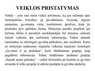 VEIKLOS PRISTATYMAS
Veikla – ryto rato metu vaikai prisimena, ką jau sužinojo apie
žiemojančius žvėrelius: jų pavadinimus, išvaizdą, elgesio
ypatumus, gyvenamą vietą, maitinimosi įpročius, kaip jie
prisitaiko prie aplinkos žiemą. Mokytoja pasiūlo praplėsti jau
turimas žinias ir pavartyti enciklopedijas bei žinynus, siekiant
surasti vaikams dar nežinomą informaciją. Vaikai atranda
nuotraukas su skirtingais gyvūnų pėdsakais, jais susidomi. Kartu
su mokytoja sudaromas siejančių veiksnių mąstymo žemėlapis
„Gyvūnai ir jų pėdsakai“, kuris iškabinamas grupėje, kaip
pagalbinė informacija. Toliau žaidžiamas žaidimas grupėje
„Surask mano pėdsaką“ – vaikai išsitraukia po kortelę su gyvūno
atvaizdu ir ieško grupėje iš anksto paslėptų to gyvūno pėdučių.
 