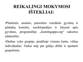 REIKALINGI MOKYMOSI
IŠTEKLIAI:
•Planšetės, ausinės, paruoštos vaizdinės gyvūnų ir
pėdsakų kortelės, enciklopedijos ir žinynai apie
gyvūnus, programėlėje „learningapps.org“ sukurtos
užduotėlės.
•Darbas vyko grupėje, pradžioje visiems kartu, vėliau
individualiai. Vaikai taip pat galėjo dirbti ir apsitarti
grupelėmis.
 
