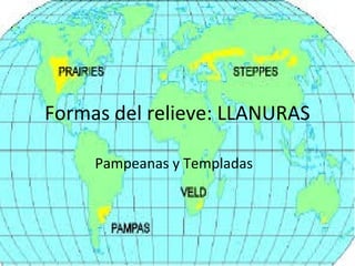 Formas del relieve: LLANURAS
Pampeanas y Templadas
 
