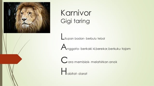 Dst Tahun 3 Haiwan