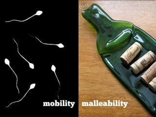 Mobility 
mobility malleability 
 