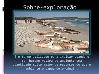 Sobre-exploração
É o termo utilizado para indicar quando o
ser humano retira do ambiente uma
quantidade muito maior de recursos do que o
ambiente é capaz de produzir.
 