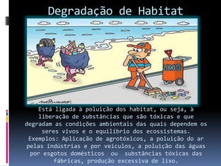 Degradação de Habitat
Está ligada à poluição dos habitat, ou seja, à
liberação de substâncias que são tóxicas e que
degradam as condições ambientais das quais dependem os
seres vivos e o equilíbrio dos ecossistemas.
Exemplos: Aplicação de agrotóxicos, a poluição do ar
pelas indústrias e por veículos, a poluição das águas
por esgotos domésticos ou substâncias tóxicas das
fábricas, produção excessiva de lixo.
 