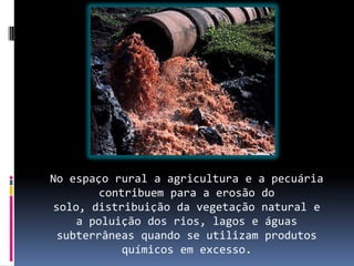 No espaço rural a agricultura e a pecuária
contribuem para a erosão do
solo, distribuição da vegetação natural e
a poluição dos rios, lagos e águas
subterrâneas quando se utilizam produtos
químicos em excesso.
 