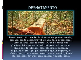 DESMATAMENTO
Desmatamento é o corte de árvores em grande escala,
com uma perda considerável de uma área arborizada.
Isto só traz coisas ruins. Além da morte das
plantas, há a perda de habitat para muitos seres
vivos que lá viviam, como pássaros, macacos,
esquilos e etc. (o que houver naquela região), e
além disso, com o desmatamento vem a erosão já que
não tem mais árvores para proteger aquele solo.
 