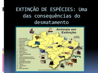EXTINÇÃO DE ESPÉCIES: Uma
das consequências do
desmatamento
 