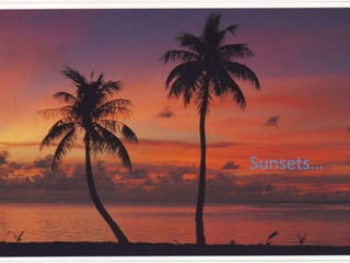 Sunsets…
 