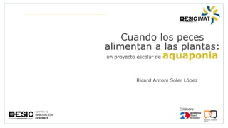 Colabora:
Cuando los peces
alimentan a las plantas:
un proyecto escolar de aquaponia
Ricard Antoni Soler López
 