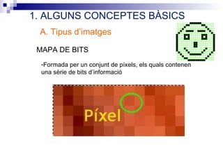 1. ALGUNS CONCEPTES BÀSICS
 A. Tipus d’imatges

 MAPA DE BITS
  -Formada per un conjunt de píxels, els quals contenen
  una sèrie de bits d’informació
 