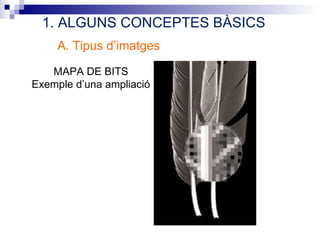 1. ALGUNS CONCEPTES BÀSICS
    A. Tipus d’imatges

   MAPA DE BITS
Exemple d’una ampliació
 