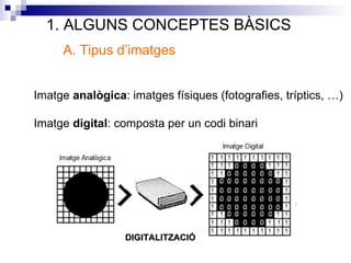 1. ALGUNS CONCEPTES BÀSICS
     A. Tipus d’imatges


Imatge analògica: imatges físiques (fotografies, tríptics, …)

Imatge digital: composta per un codi binari




                  DIGITALITZACIÓ
 