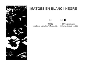IMATGES EN BLANC I NEGRE
 