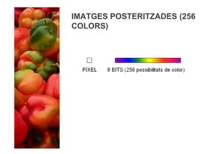 IMATGES POSTERITZADES (256
COLORS)
 