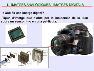 1.- IMATGES ANALÒGIQUES I IMATGES DIGITALS1.- IMATGES ANALÒGIQUES I IMATGES DIGITALS
Què és una imatge digital?
Tipus d'imatge que s'obté per la incidència de la llum
sobre un sensor i no en una pel·lícula.
 