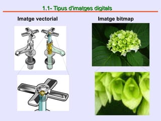 1.1- Tipus d'imatges digitals1.1- Tipus d'imatges digitals
Imatge vectorial Imatge bitmap
 