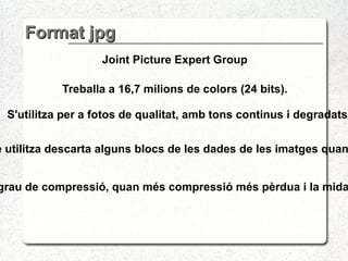 Format jpg Joint Picture Expert Group Treballa a 16,7 milions de colors (24 bits). L'algorisme que utilitza descarta alguns blocs de les dades de les imatges quan les comprimeix. Permet escollir el grau de compressió, quan més compressió més pèrdua i la mida del fitxer és menor. S'utilitza per a fotos de qualitat, amb tons continus i degradats. 