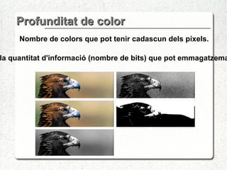 Profunditat de color Nombre de colors que pot tenir cadascun dels píxels. Depèn de la quantitat d'informació (nombre de bits) que pot emmagatzemar un píxel. 
