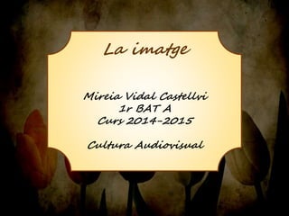 La imatge 
Mireia Vidal Castellvi 
1r BAT A 
Curs 2014-2015 
Cultura Audiovisual 
 