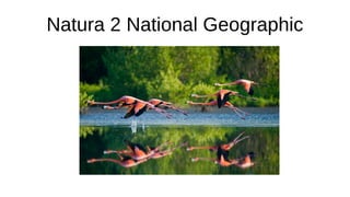 Natura 2 National Geographic