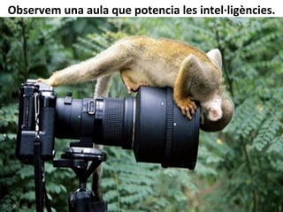 Observem	
  una	
  aula	
  que	
  potencia	
  les	
  intel·∙ligències.	
  
 