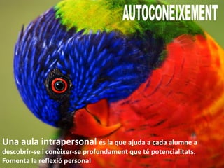 Una	
  aula	
  intrapersonal	
  és	
  la	
  que	
  ajuda	
  a	
  cada	
  alumne	
  a	
  
descobrir-­‐se	
  i	
  conèixer-­‐se	
  profundament	
  que	
  té	
  potencialitats.	
  	
  
Fomenta	
  la	
  reﬂexió	
  personal	
  
 