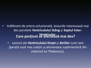 Care porțiuni se afectează mai des?
• Indiferent de artera ocluzionată, leziunile interesează mai
des peretele Ventriculului Stâng și Septul Inter-
Ventricular.
• Leziuni ale Ventriculului Drept și Atriilor sunt rare
(pereții sunt mai subțiri și alimentare suplimentară din
sistemul lui Thebesius).
 
