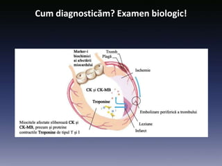 Cum diagnosticăm? Examen biologic!
 