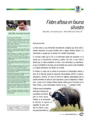 Fiebre aftosa en fauna
                                                                                                 silvestre
                                                                             MVZ MSc. Fernando Gual S., MVZ EPDV Itzel Yáñez M.*
     MVZ MSc. Fernando Gual Sill

  MVZ egresado de la FMVZ UNAM.
  Curso de posgrado en enfermedades y manejo de fau-
  na silvestre (Sociedad Zoológica de Londres, 1991).
  Diplomado en medicina y manejo de fauna silvestre
  (FMVZ –UNAM, 1992-1994).                                   I NTRODUCCIÓN
  Diplomado en planeación estratégica (Facultad de In-
  geniería–UNAM, 2000).
                                                             La fiebre aftosa es una enfermedad viral altamente contagiosa que afecta tanto a
  Maestría en ciencias de salud en fauna silvestre (Uni-
  versidad de Londres/Sociedad Zoológica de Londres,         animales domésticos de pezuña hendida como a algunos animales silvestres. La
  1997-1998).
  Médico veterinario en el zoológico de Chapultepec          enfermedad es causada por un aftovirus de la familia Picornaviridae.
  desde mayo de 1989 hasta el 31 de julio de 1997.
  Jefe del servicio médico veterinario del zoológico de      Es necesario resaltar que la FA es la enfermedad animal más importante en el
  Chapultepec, desde el 1º de marzo de 1991 hasta el 31
  de julio de 1997.                                          mundo por su trascendencia económica y política. Por esto, se hace toda la
  Profesor en licenciatura en la FMVZ-UNAM, de la asig-
  natura “Medicina y Zootecnia de Fauna Silvestre” des-      difusión que se realiza actualmente en torno a esta enfermedad y su importancia,
  de 1993
  Director del zoológico de Chapultepec Alfonso L. Herrera   ya que su mortalidad es muy baja, pero las pérdidas que acarrean su alta morbilidad
  desde enero de 1999 hasta diciembre del 2000.
                                                             y su rápida diseminación son difíciles de controlar.
  Vicepresidente de la Asociación de Zoológicos, Cria-
  deros y Acuarios de la República Mexicana (AZCARM)
  desde diciembre de 1999.                                   En México se cuenta con un sistema de prevención de enfermedades exóticas a
  Actualmente director general de zoológicos de la ciu-
  dad de México (desde diciembre 2000)
                                                             través de la Dirección general de Inspección Fitozoosanitaria (DGIF) en puertos,
  Miembro fundador de la Sociedad Mexicana de Etología       aeropuertos y fronteras; así como un sistema de vigilancia epidemiológica para la
  Veterinaria (SOMEV) a partir de septiembre de 1996.
  Miembro de la subcomisión para la recuperación y pre-      atención inmediata de todos los casos sospechosos y para su diagnóstico en labora-
  servación del lobo mexicano. Vocal del grupo de ma-
  nejo en cautiverio desde diciembre de 1999.                torio, a través de la Comisión México-Estados Unidos para la Prevención de la
  Miembro de la subcomisión para la conservación de los
  lagomorfos mexicanos. Suplente de la vocalía de ma-        Fiebre Aftosa y otras Enfermedades Exóticas de los           Animales (CPA).
  nejo en vida libre y en cautiverio desde noviembre del
  2000.                                                      Todas las especies biunguladas
  Más de 75 ponencias y publicaciones en México y el
  extranjero relacionadas con la medicina y el manejo de     domésticas o silvestres son
  la fauna silvestre.
                                                             susceptibles a la enferme-
                                                             dad en forma natural.
                                                             También se ha demostrado
                                                             la infección en especies no
* Dirección General de Zoológicos de la Ciudad de Méxi-
                                                             unguladas de gran canti-
  co. Zoológico de Chapultepec, 1a Sección del Bosque
  de Chapultepec, C.P. 11850, México, D.F. Tel. 5553 6263,
                                                             dad de órdenes y pue-
  Fax. Ext. 2005. Correo electrónico :itzelym@hotmail.com    den padecerla también el
                                                                                                         Vol. 1, núm. 4, julio-septiembre, 2001   35
 
