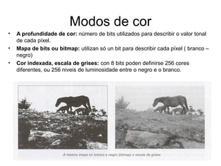 Modos de cor
• A profundidade de cor: número de bits utilizados para describir o valor tonal
de cada píxel.
• Mapa de bits ou bitmap: utilizan só un bit para describir cada píxel ( branco –
negro)
• Cor indexada, escala de grises: con 8 bits poden definirse 256 cores
diferentes, ou 256 niveis de luminosidade entre o negro e o branco.
 