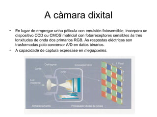 A càmara dixital
• En lugar de empregar unha pèlicula con emulsiòn fotosensible, incorpora un
dispositivo CCD ou CMOS matricial con fotorreceptores sensibles às tres
lonxitudes de onda dos primarios RGB. As respostas elèctricas son
trasformadas polo conversor A/D en datos binarios.
• A capacidade de captura expresase en megapixeles.
 