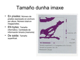 Tamaño dunha imaxe
• En píxeles: Número de
píxeles expresado en anchura
por altura. Número total en
megapíxeles.
• EN bytes: Tamaño
informático. Cantidade de
información binaria (memoria)
• De saida: Tamaño
superficial.
 