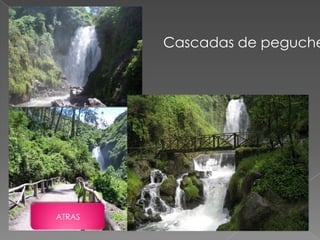 Cascadas de peguche




ATRAS
 