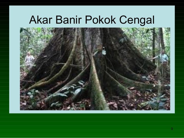 Imbas kembali geog pmr2