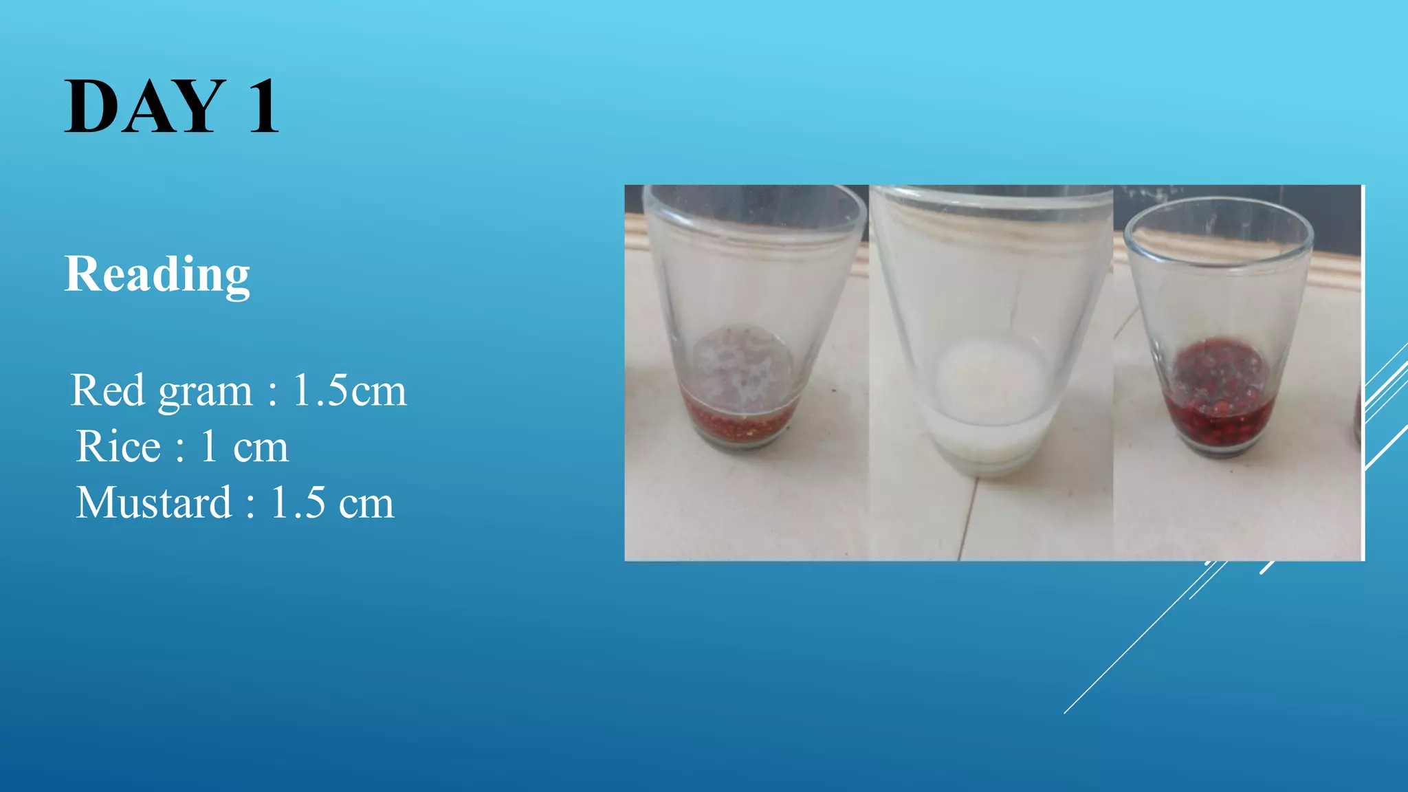 Reading
Red gram : 1.5cm
Rice : 1 cm
Mustard : 1.5 cm
DAY 1
 