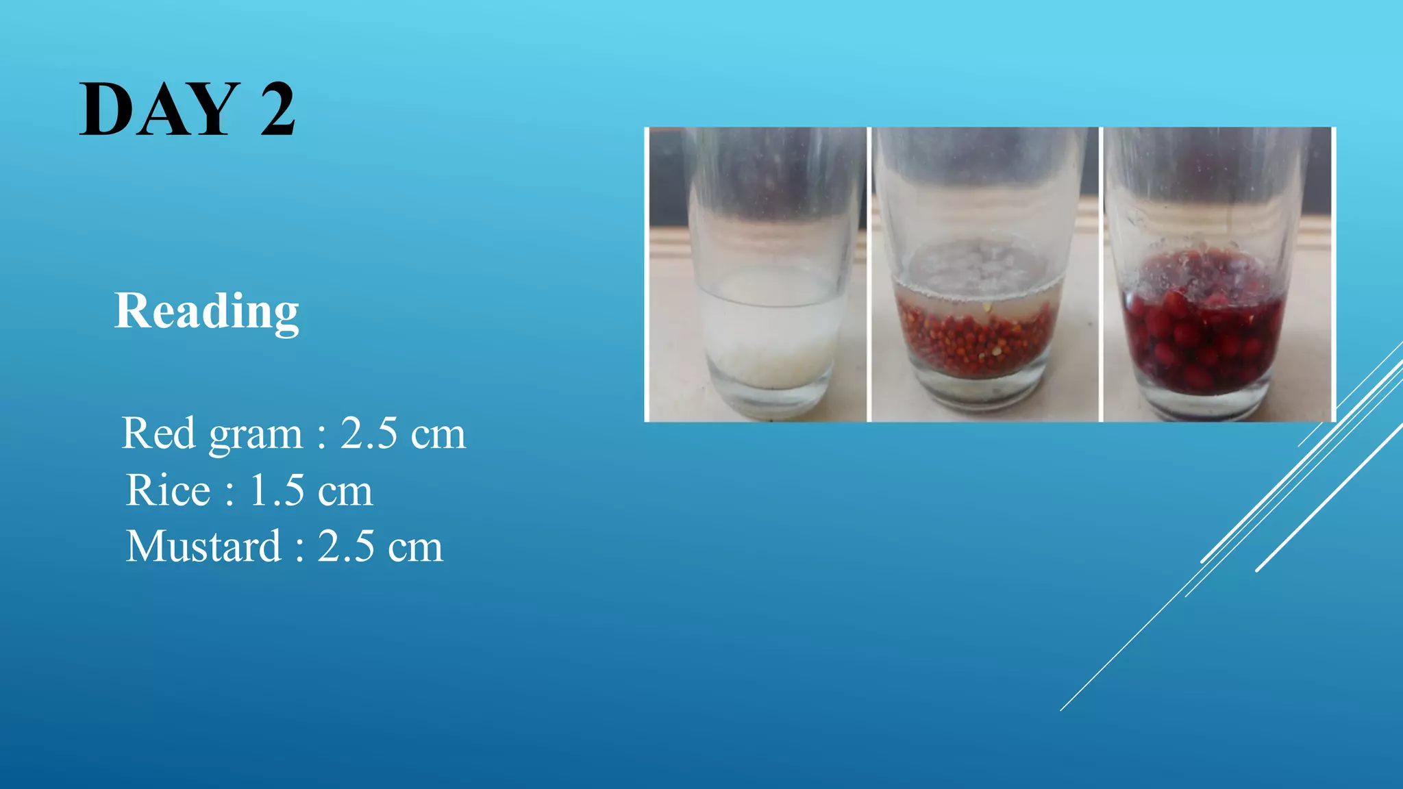 Reading
Red gram : 2.5 cm
Rice : 1.5 cm
Mustard : 2.5 cm
DAY 2
 