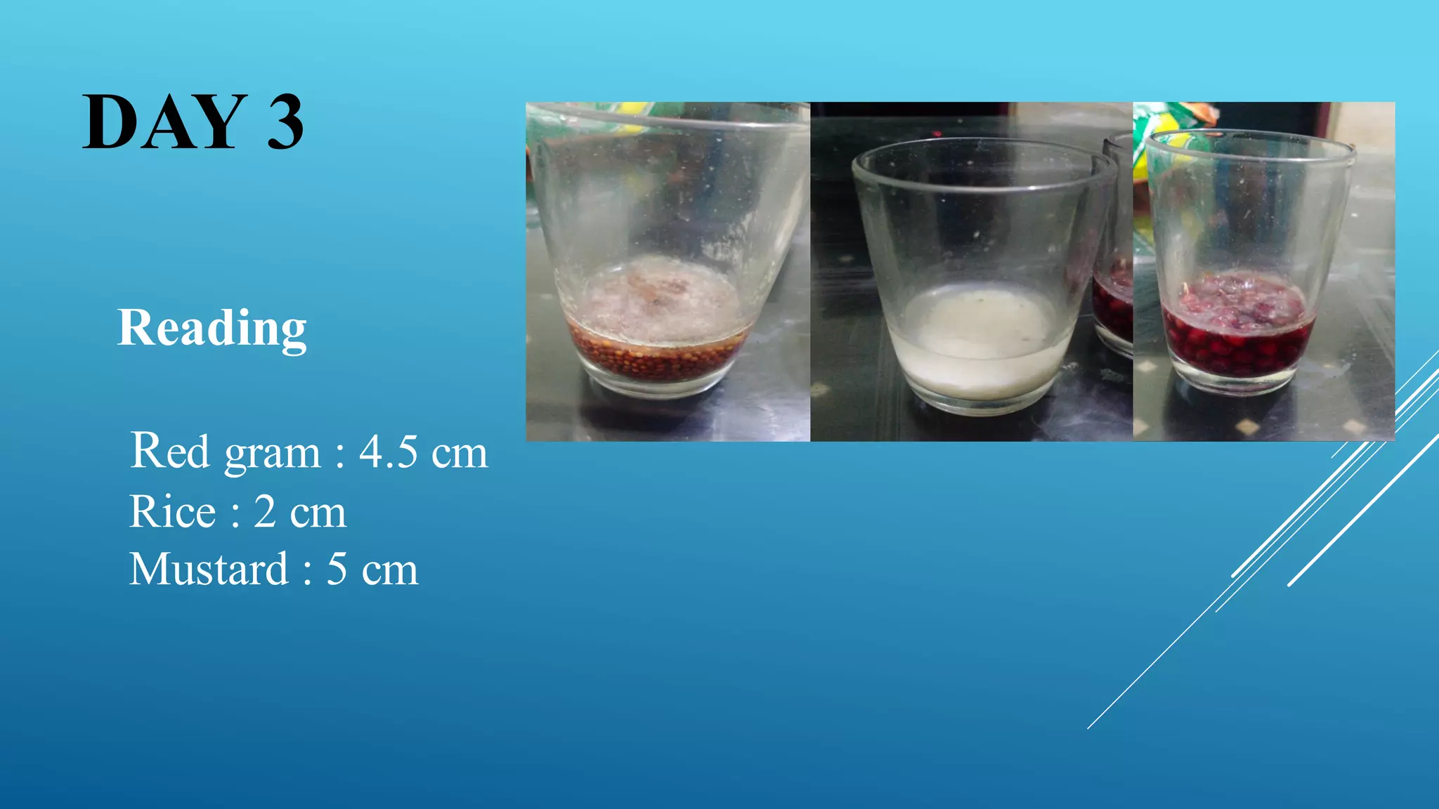 Reading
Red gram : 4.5 cm
Rice : 2 cm
Mustard : 5 cm
DAY 3
 
