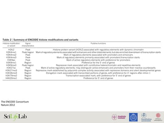 The	ENCODE	Consortium	
Nature	2012	
tion factor—including the ChIP-seq peaks, discovered motifs and
associated histonemodificationpatterns—inFactorBook(http://www.
factorbook.org; ref. 26), a public resource that will be updated as the
project proceeds.
DNase I hypersensitive sites and footprints
Chromatin accessibility characterized by DNase I hypersensitivity is
the hallmark of regulatory DNA regions27,28
. We mapped 2.89 million
unique, non-overlapping DNase I hypersensitive sites (DHSs) by
DNase-seq in 125 cell types, the overwhelming majority of which lie
distal to TSSs29
. We also mapped 4.8 million sites across 25 cell types
Methylation of cytosine, usually at CpG dinucleotides, is involved in
epigenetic regulation of gene expression. Promoter methylation is
typically associated with repression, whereas genic methylation cor-
relates with transcriptional activity42
. We used reduced representation
bisulphite sequencing (RRBS) to profile DNA methylation quantita-
tively for an average of 1.2 million CpGs in each of 82 cell lines and
tissues (8.6% of non-repetitive genomic CpGs), including CpGs in
intergenic regions, proximal promoters and intragenic regions (gene
bodies)43
, although it should be noted that the RRBS method pref-
erentially targets CpG-rich islands. We found that 96% of CpGs
exhibited differential methylation in at least one cell type or tissue
Table 2 | Summary of ENCODE histone modifications and variants
Histone modification
or variant
Signal
characteristics
Putative functions
H2A.Z Peak Histone protein variant (H2A.Z) associated with regulatory elements with dynamic chromatin
H3K4me1 Peak/region Mark of regulatory elements associatedwithenhancersand otherdistalelements,but alsoenricheddownstream oftranscription starts
H3K4me2 Peak Mark of regulatory elements associated with promoters and enhancers
H3K4me3 Peak Mark of regulatory elements primarily associated with promoters/transcription starts
H3K9ac Peak Mark of active regulatory elements with preference for promoters
H3K9me1 Region Preference for the 59 end of genes
H3K9me3 Peak/region Repressive mark associated with constitutive heterochromatin and repetitive elements
H3K27ac Peak Mark of active regulatory elements; may distinguish active enhancers and promoters from their inactive counterparts
H3K27me3 Region Repressive mark established by polycomb complex activity associated with repressive domains and silent developmental genes
H3K36me3 Region Elongation mark associated with transcribed portions of genes, with preference for 39 regions after intron 1
H3K79me2 Region Transcription-associated mark, with preference for 59 end of genes
H4K20me1 Region Preference for 59 end of genes
6 S E P T E M B E R 2 0 1 2 | V O L 4 8 9 | N A T U R E | 5 9
Macmillan Publishers Limited. All rights reserved©2012
 