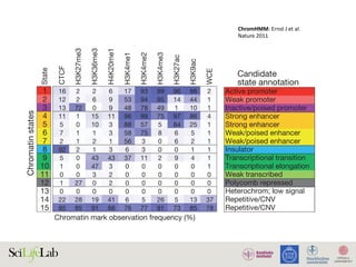 b c
Chromatin mark observation frequency (%) Functional enri(%) (%)(fold) (kb)
CTCF
State
H3K27me3
H3K36me3
H4K20me1
H3K4me1
H3K4me2
H3K4me3
H3K27ac
H3K9ac
WCE
Median
Median
length
±2kbTSS
Conserved
non-exon
DNase
(K562)
c-Myc
Coverage
H1ES
GM
16 2 2 6 17 93 99 96 98 2 0.6 1.0 83 3.8 23.3 82.0
12 2 6 9 53 94 95 14 44 1 0.5 0.4 58 2.8 15.3 12.6
13 72 0 9 48 78 49 1 10 1 0.2 0.6 49 4.3 10.8 3.1
11 1 15 11 96 99 75 97 86 4 0.7 0.6 23 2.7 23.1 31.8
5 0 10 3 88 57 5 84 25 1 1.2 0.6 3 1.8 13.6 6.3
7 1 1 3 58 75 8 6 5 1 0.9 0.2 17 2.4 11.9 5.7
2 1 2 1 56 3 0 6 2 1 1.9 0.4 4 1.5 5.1 0.6
92 2 1 3 6 3 0 0 1 1 0.5 0.4 3 1.5 12.8 2.5
5 0 43 43 37 11 2 9 4 1 0.7 0.8 4 1.1 4.5 0.7
1 0 47 3 0 0 0 0 0 1 4.3 3.0 1 0.9 0.3 0.0
0 0 3 2 0 0 0 0 0 0 12.5 2.6 2 0.9 0.3 0.0
1 27 0 2 0 0 0 0 0 0 4.1 2.8 5 1.4 0.3 0.0
0 0 0 0 0 0 0 0 0 0 71.4 10.0 1 0.9 0.1 0.0
22 28 19 41 6 5 26 5 13 37 0.1 0.6 3 0.4 1.9 0.3
85 85 91 88 76 77 91 73 85 78 0.1 0.2 1 0.2 5.9 9.5
1
2
3
4
5
6
7
8
9
10
11
12
13
14
15
0.5 1.2
1.2 1.3
4.0 1.0
0.1 1.1
0.2 0.7
1.3 1.0
1.2 1.1
1.4 1.0
1.3 1.0
0.6 1.2
1.3 0.8
0.3 0.7
1.0 1.0
0.9 1.2
0.9 1.0
HSMM
NHLF
NHEK
HMEC
Chromatinstates
Figure 1 | Chromatin state discovery and characterization. a, Top: profiles
for nine chromatin marks (greyscale) are shown across the WLS gene in four
cell types, andsummarized in a single chromatin state annotation track for each
cell t
param
comb
0
10
20
30
Luciferaserelativelightunits
c d
) Functional enrichments (fold)(%) (%)(fold) (kb)
Candidate
state annotation
H3K9ac
WCE
Median
Median
length
±2kbTSS
Conserved
non-exon
DNase
(K562)
c-Myc
(K562)
NF-κB
(GM12878)
Transcript
Nuclear
lamina
Hep
CoverageH1ES
GM
8 2 0.6 1.0 83 3.8 23.3 82.0 40.7 0.2 0.15
4 1 0.5 0.4 58 2.8 15.3 12.6 5.8 0.6 0.30
0 1 0.2 0.6 49 4.3 10.8 3.1 1.0 0.4 0.68
6 4 0.7 0.6 23 2.7 23.1 31.8 49.0 1.3 0.05
5 1 1.2 0.6 3 1.8 13.6 6.3 15.8 1.4 0.10
5 1 0.9 0.2 17 2.4 11.9 5.7 7.0 1.1 0.31
2 1 1.9 0.4 4 1.5 5.1 0.6 2.4 1.3 0.20
1 1 0.5 0.4 3 1.5 12.8 2.5 1.2 1.1 0.61
4 1 0.7 0.8 4 1.1 4.5 0.7 0.8 2.4 0.02
0 1 4.3 3.0 1 0.9 0.3 0.0 0.0 2.5 0.11
0 0 12.5 2.6 2 0.9 0.3 0.0 0.1 1.9 0.24
0 0 4.1 2.8 5 1.4 0.3 0.0 0.1 0.8 0.63
0 0 71.4 10.0 1 0.9 0.1 0.0 0.0 0.7 1.30
3 37 0.1 0.6 3 0.4 1.9 0.3 0.2 0.4 1.44
5 78 0.1 0.2 1 0.2 5.9 9.5 7.4 0.4 1.30
Active promoter
Weak promoter
Inactive/poised promoter
Strong enhancer
Strong enhancer
Weak/poised enhancer
Weak/poised enhancer
Insulator
Transcriptional transition
Transcriptional elongation
Weak transcribed
Polycomb repressed
Heterochrom; low signal
Repetitive/CNV
Repetitive/CNV Stat
He
0.5 1.2
1.2 1.3
4.0 1.0
0.1 1.1
0.2 0.7
1.3 1.0
1.2 1.1
1.4 1.0
1.3 1.0
0.6 1.2
1.3 0.8
0.3 0.7
1.0 1.0
0.9 1.2
0.9 1.0
(NHLF)
haracterization. a, Top: profiles
own across the WLS gene in four
atin state annotation track for each
cell types by a multivariate hidden Markov model. Th
parameters learned de novo on the basis of genome-w
combinations of chromatin marks. Each entry denotes
ChromHMM:	Ernst	J	et	al.	
Nature	2011	
 
