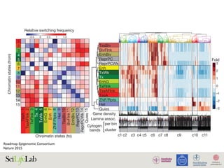 Fold
−0.5 0 0.5
Relative switching frequency
1 1.5
1
2
3
4
5
6
7
8
9
10
11
12
13
14
15
13
14
15
TssA
TssAFlnk
TxFlnk
Tx
TxWk
EnhG
Enh
ZNF/Rpts
Het
TssBiv
BivFlnk
EnhBiv
ReprPC
ReprPCWk
Quies
1
2
3
4
5
6
7
8
9
10
11
12
13
14
15
ReprPC
ReprPCWk
Quies
dc
1 10 20 30 40 60 70 80 90 100 110 120
0.1
0.2
Number of epigenomes (n)
50
Relative genome coverage (s.d.)
Chromatin states (to)
Chromatinstates(from)
c1 c2 c3 c4 c5
0 2 4–2
c6 c7 c8 c9 c10 c11
TssBiv
BivFlnk
EnhBiv
ReprPC
ReprPCWk
Enh
TxWk
Tx
EnhG
TxFlnk
TssAFlnk
TssA
ZNF/Rpts
Het
Quies
Cytogen.
bands
Gene density
Lamina assoc.
per bin
cluster
3
2
1
0
–1
–2
–3
3 2 2 | N A T U R E | V O L 5 1 8 | 1 9 F E B R U A R Y 2 0 1 5
Macmillan Publishers Limited. All rights reserv©2015
Roadmap	Epigenomic	Consortium	
Nature	2015	
 